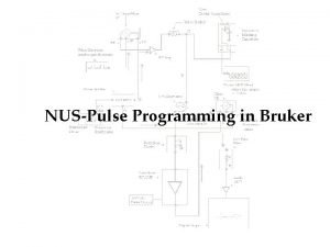 NUSPulse Programming in Bruker Structure Determination by NMR