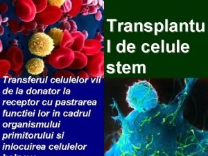 Transferul celulelor vii de la donator la receptor