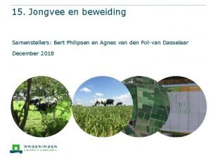 15 Jongvee en beweiding Samenstellers Bert Philipsen en