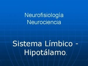 Hipotlamo
