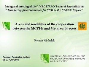 Inaugural meeting of the UNECEFAO Team of Specialists