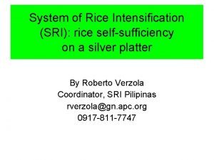 System of Rice Intensification SRI rice selfsufficiency on