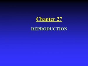 Chapter 27 REPRODUCTION Asexual versus Sexual Reproduction Asexual