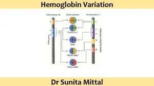 Hemoglobin Variation Dr Sunita Mittal Learning Objectives Different