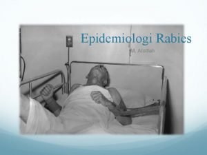 Epidemiologi Rabies M Atoillah Menurut bahasa Rabies berasal