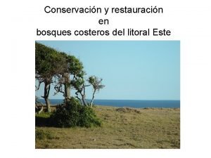 Conservacin y restauracin en bosques costeros del litoral