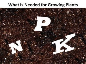 What is Needed for Growing Plants Plants cannot