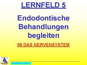 LERNFELD 5 Endodontische Behandlungen begleiten 09 DAS NERVENSYSTEM