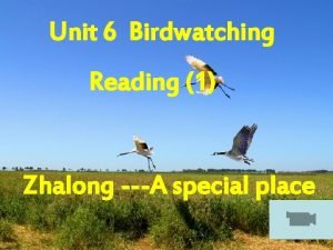 Unit 6 Birdwatching Reading 1 Zhalong A special