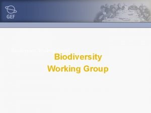 Biodiversity Working Group Thematic Focus Mainstreaming biodiversity into