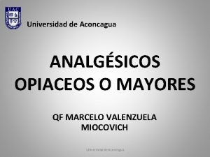 Analgsicos Analgsicos