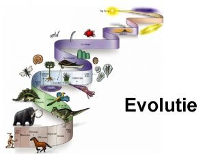 Evolutie De meeste biologen geloven dat 1 alle