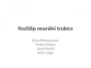 Roztp neurln trubice Klra Pichystalov Ondej Sebera Jakub