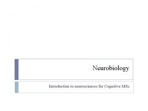 Neurobiology Introduction to neurosciences for Cognitive MSs Szinaptikus