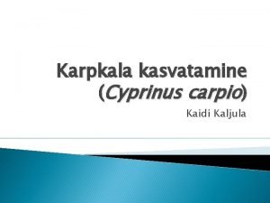 Karpkala kasvatamine Cyprinus carpio Kaidi Kaljula Pritolu Kuuluvus