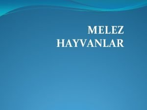 Midas ve papağan balığı