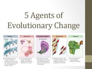 5 agents of evolutionary change
