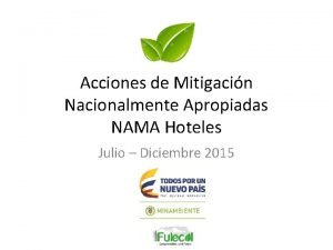 Acciones de Mitigacin Nacionalmente Apropiadas NAMA Hoteles Julio