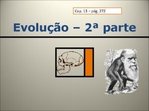 Cap 13 pg 272 Evoluo 2 parte NEODARWINISMO