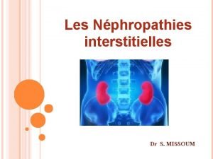 Les Nphropathies interstitielles Dr S MISSOUM Nphropathies tubulointerstitielles