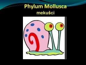 Phylum Mollusca mekuci Phylum Mollusca Oko 100 000