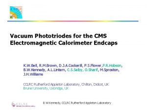 Vacuum Phototriodes for the CMS Electromagnetic Calorimeter Endcaps