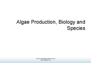 Algae Production Biology and Species Live food aquaculture