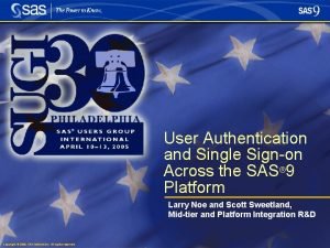 Sas authentication domain