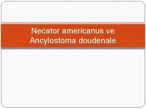Necator americanus ve Ancylostoma doudenale engelli solucanlar engelli
