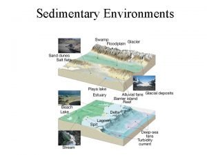 Sedimentary Environments Fossil Sedimentary rocks record environmental information