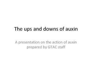 The ups and downs of auxin A presentation