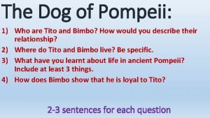 Bimbo the dog pompeii