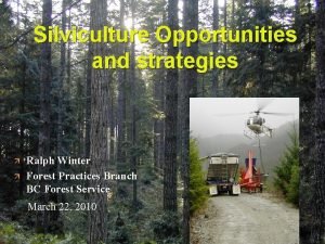 Silviculture Opportunities and strategies Ralph Winter Forest Practices