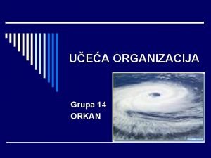 Organizacija 14