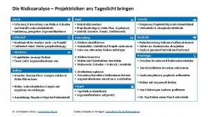 Die Risikoanalyse Projektrisiken ans Tageslicht bringen Zweck Input