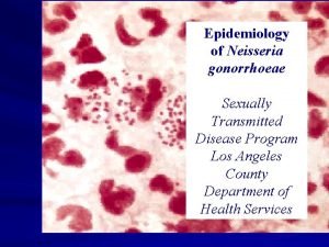 Epidemiology of Neisseria gonorrhoeae Sexually Transmitted Disease Program