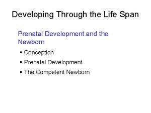 Developing Through the Life Span Prenatal Development and