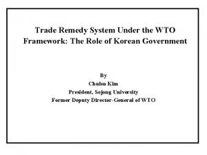 Trade Remedy System Under the WTO Framework The