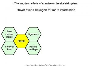 Long term effects of exercise on skeletal system