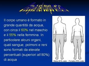 Nefrone iuxtamidollare