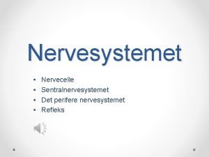 Nervesystemet Nervecelle Sentralnervesystemet Det perifere nervesystemet Refleks Nervecelle