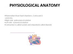 PHYSIOLOGICAL ANATOMY Mammalian Heart has 4 chambers 2