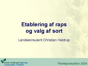 Etablering af raps og valg af sort Landskonsulent