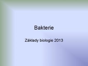 Bakterie Zklady biologie 2013 Definice bakteri Bakterie jsou