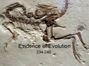 Evidence of Evolution 234 240 1 What evidence