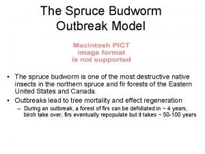 The Spruce Budworm Outbreak Model The spruce budworm