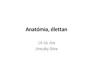 Anatmia lettan 14 16 ra Ureczky Dra Anyag