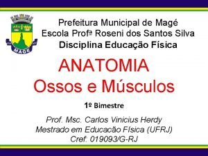 Ossos intratendineos Ossos intratendineos