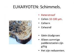 EUKARYOTEN Schimmels Heterotroof Cellen 10 100 m Celkern