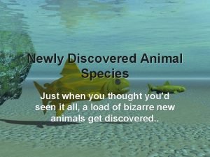 Newly Discovered Animal Species Just when you thought